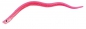 Behr Trendex Power Eel