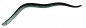 Behr Trendex Power Eel