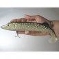 Behr Trendex Pike-Natural XXL montiert