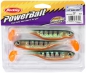 Berkley Powerbait Gotam Shad Rainbow