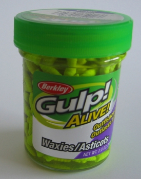 Berkley Gulp! Alive! Waxies White