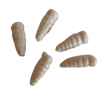 Berkley Gulp! Alive! Waxies White