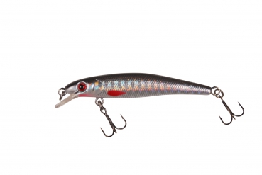 DAM Effzett Appetizer SR Roach
