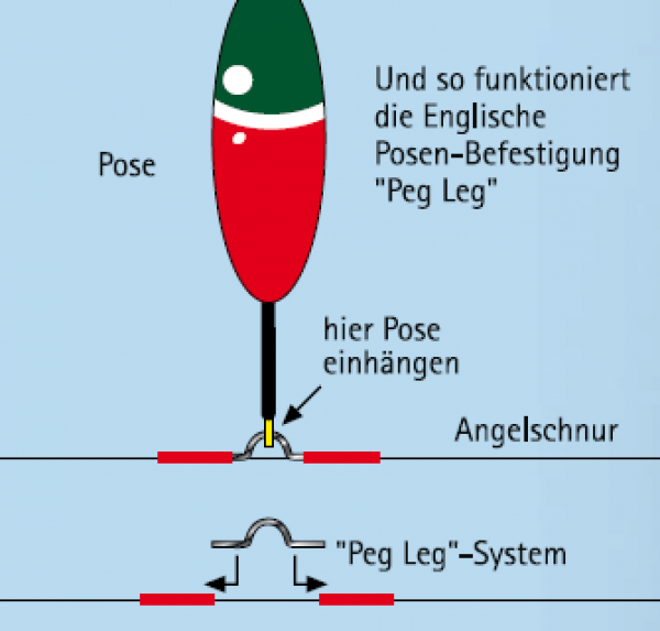 Behr Peg Leg