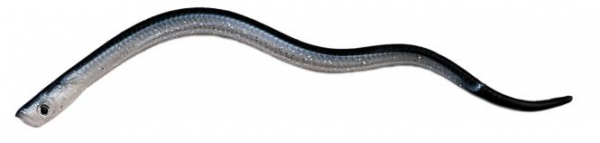 Behr Trendex Power Eel