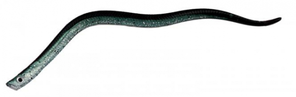 Behr Trendex Power Eel