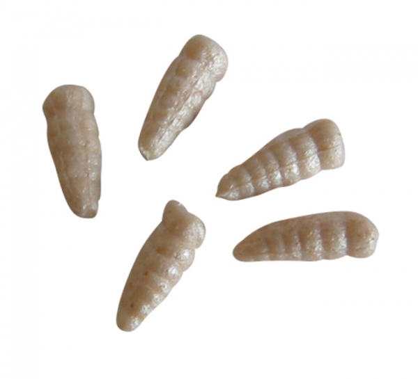 Berkley Gulp! Alive! Waxies White